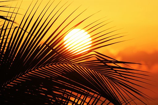 sun-of-jamaica-910070__340
